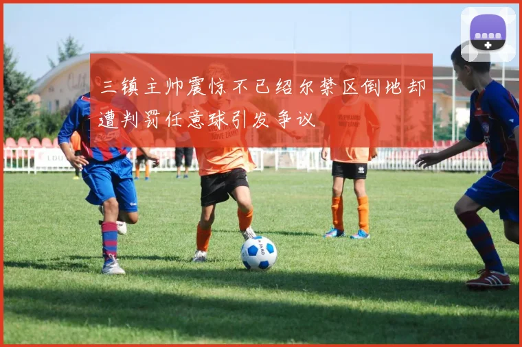 三镇主帅震惊不已绍尔禁区倒地却遭判罚任意球引发争议