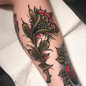Neo Traditional